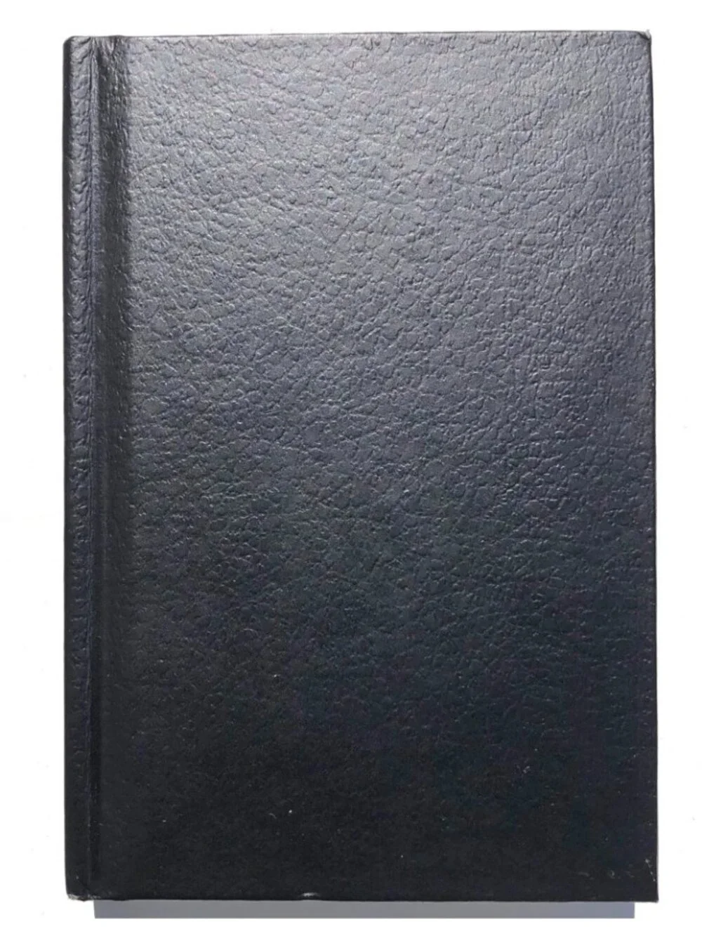 Canson Premium Lined Journal 4